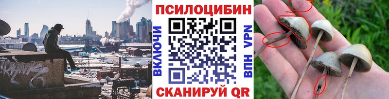 Галлюциногенные грибы MAGIC MUSHROOMS  Игра 